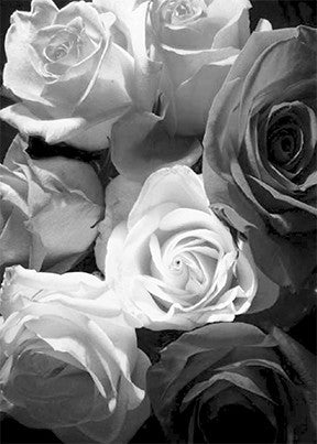 CHERIE RANSON CARD BLACK AND WHITE